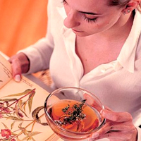 Gyógynövények cystitis nőknél urológiai gyűjtemény, tea a gyulladás a hólyag