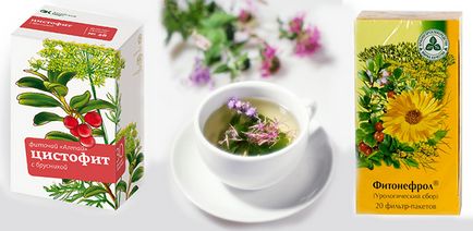 Gyógynövények cystitis nőknél urológiai gyűjtemény, tea a gyulladás a hólyag