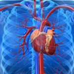 A vérrög a szív - okai, tünetei és kezelése