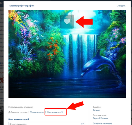 Képes együttműködni fotók vkontakte értesítés ember helye pont