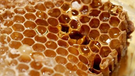 Mind a méh fésű alakú, összetételű, hogy tud-e valami hasznosat