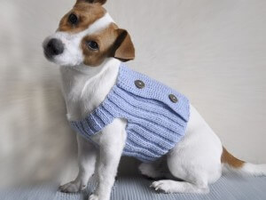 Kötött ruhák kutyák saját kezűleg (vagy horgolt tű), méret és hol található kész rendszerek