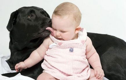 Felnőtt kutya és egy kisgyerek
