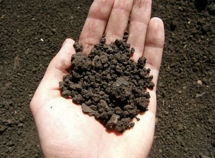 Miért és hogyan az emberek vigyázni a bemutatása a talaj