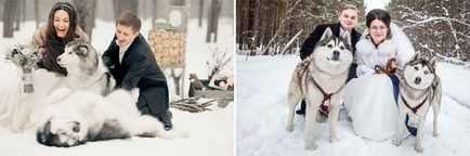 Téli esküvő fotózásra - az ötlet a szabadban, fotó és videó