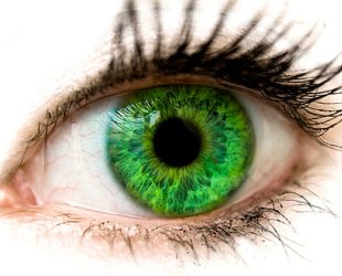 Az érték a zöld szemek a férfiak és nők