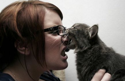 Zoopsychologists rájöttem, miért a macska harap ok nélkül