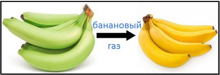 Banán a testépítésben