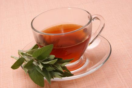 Tea zsálya előnyök és ártalmak, hogyan kell inni és a sörfőzés