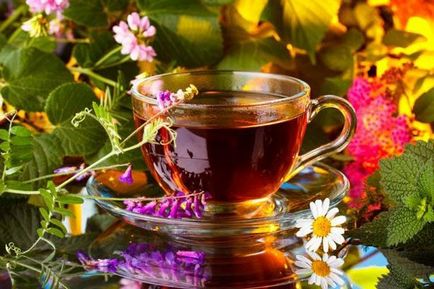 Tea zsályás haszon és kár, hogyan kell inni (recept)