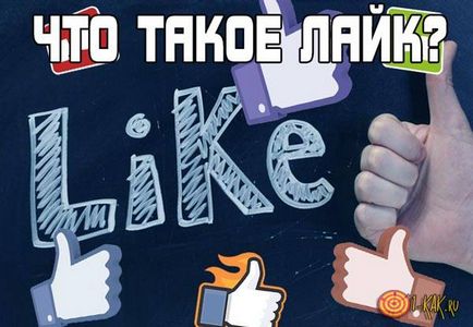 Mi a Like, ott, ahol alkalmazzák, ami azt jelenti, hogyan tegye husky VKontakte, és osztálytársak
