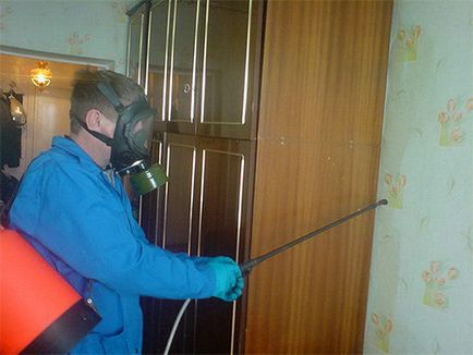 Pet bolha és hogyan megszabadulni tőlük (a ház bolhák) Pet bolha és hogyan megszabadulni tőlük