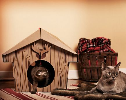 Kis ház egy macska kezével méretrajzokkal lépésről lépésre, fotók, videók