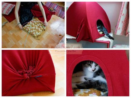 Kis ház egy macska a saját kezével a legjobb ötleteket és mesterkurzusokat fotókkal