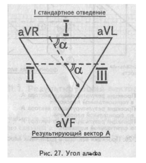 Elektromos tengely és elektromos szív helyzetét