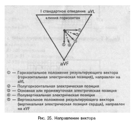 Elektromos tengely és elektromos szív helyzetét