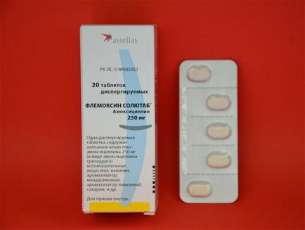 Flemoksin soljutab útmutató, áttekintésre, analógok használata