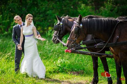 Photo session lovak - fórum menyasszony, esküvő 66