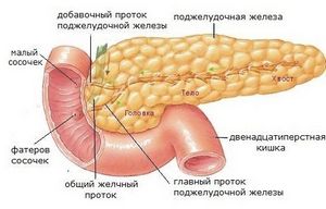 Amennyiben az emberi szervezetben a hasnyálmirigy