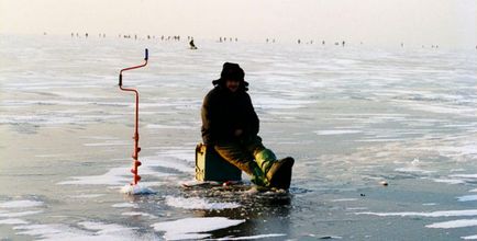 Menetrend harapós halak halak és néhány, mint a halak harapós, és ahol