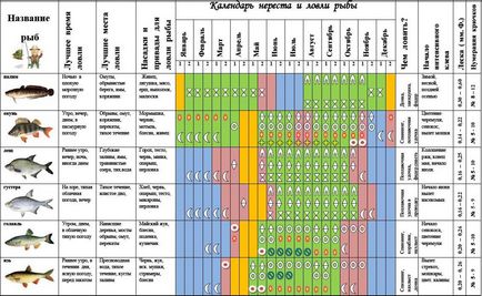 Menetrend horgászat - outlook harapós halak harapós nap, naptár harapás