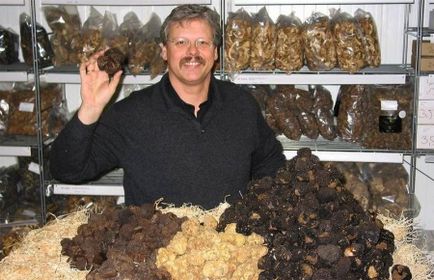 Gomba Szarvasgomba előnyei és hátrányai, leírás és a fajok, ahol a nő és az alkalmazás (gomba) Gomba Szarvasgomba előnyei és hátrányai, leírás és a fajok, ahol a nő és alkalmazása