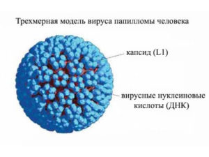 Izoprinoszinnal HPV alkalmazására és rend