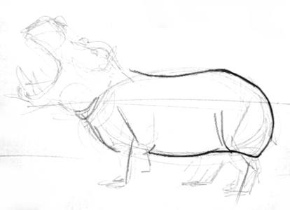 Hogyan kell felhívni a víziló (gippopopotama)