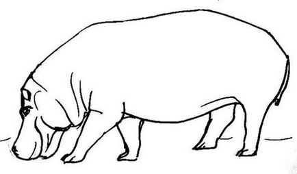Hogyan kell felhívni a víziló (gippopopotama)