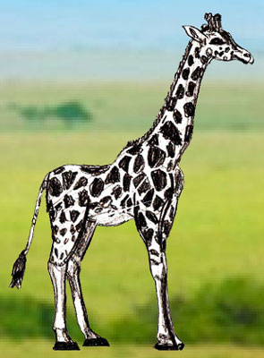 Hogyan kell felhívni a zsiráf, a tanulságok levonása és a Photoshop
