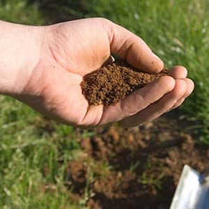 Hogyan állapítható meg, a savasság a talaj a növény fajtájától