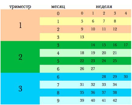 Hogyan állapítható meg, hogy milyen hónapban a terhesség, hogyan kell meghatározni a terhesség