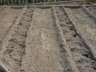 Hogyan állapítható meg a talaj a helyszínen - a mechanikai szerkezet és a savasság