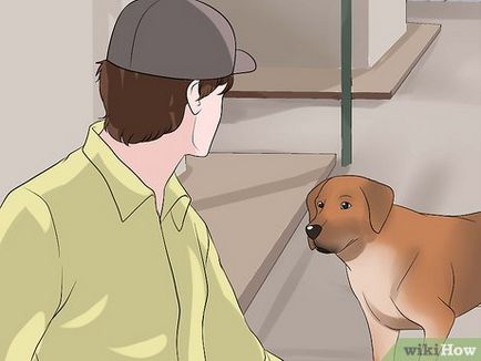 Hogyan elválaszt a kutya harap mások