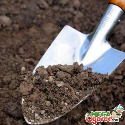 Hogyan savanyítja a talajt, összetételétől függően