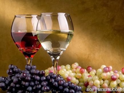 Hogyan lehet megérteni a bor - mindenki számára és minden