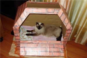 Hogyan készítsünk egy házat a macskát a dobozból, és mik az előnyei