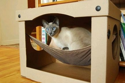 Hogyan készítsünk egy házat a macska saját kezűleg