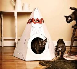 Hogyan készítsünk házak macskáknak