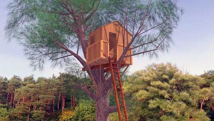 Hogyan tegyük egy fa ház saját kezűleg az utasítást videó