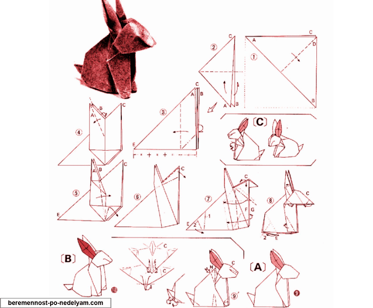 Hogyan lehet a papír origami állatok állatkertben létre saját kezét lépésről lépésre mesterkurzusok