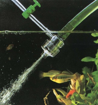 Hogyan készítsünk saját kezűleg oxigént akvárium