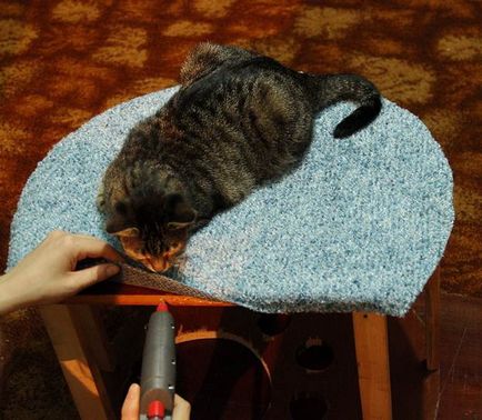 Hogyan, hogy a bútorok macskáknak