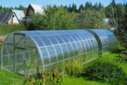 Hogyan készítsünk egy üvegház uborka videó az üvegházhatást okozó uborka polikarbonát üvegház uborka