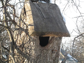 Hogyan lehet a megfelelő madárház a madarak saját kezével egy házat a faluban