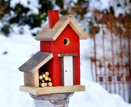 Hogyan készítsünk egy madárház saját kezébe fából és hulladék anyagok rajzok és méretek a fényképen