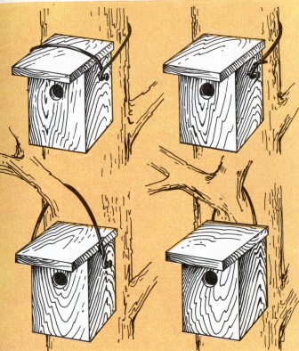 Hogyan készítsünk egy madárház saját kezébe fából és hulladék anyagok rajzok és méretek a fényképen