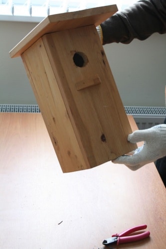 Hogyan készítsünk egy madárház saját kezébe - Lépésről lépésre