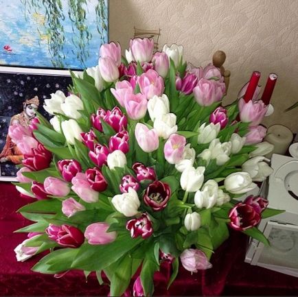 Hogyan lehet, hogy a férje adta virágok ok nélkül ~ a célból, hogy egy nő ~ Olga és Alexei