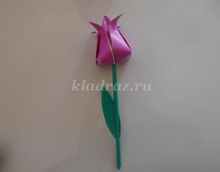 Hogyan készítsünk egy tulipán a papír kezét szakaszokban gyerekeknek